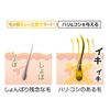sutemurassyu Serum
