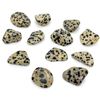 Dalmatian Jasper Small Crystal Tumbled Stones - 5 Pc