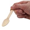 Wooden Tea Spoons Biodegradeable & Disposable Pack of 500