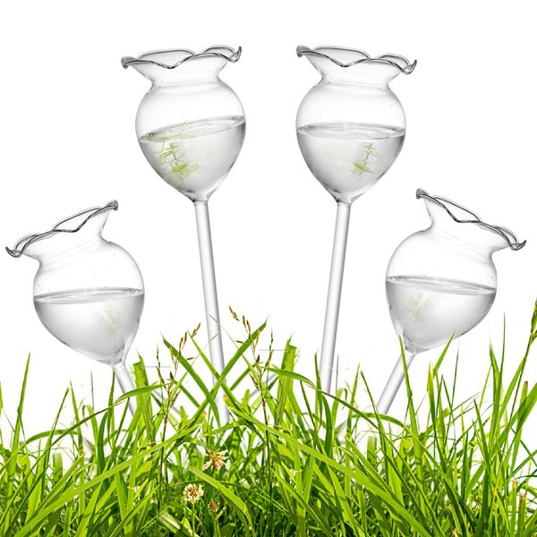 ZENFUN 4 Pcs Plant Waterer Bulbs Self Watering Globe Stake, Hand Blown Clear Glass Plant Water Drippers, Automatic Irrigation Planter Insert for Rose Flowers, Indoor and Outdoor Plants