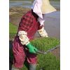 Showa Gloves No. 600 Green Jersey Small Pair