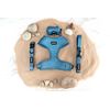 Adjustable Dog Collar with Neoprene Padding Features a Durable D Ring, in Adorable Designs. (Pawfect Waves, Extra Small)