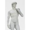 David 1/35 Scale PS Assembled Plastic Model