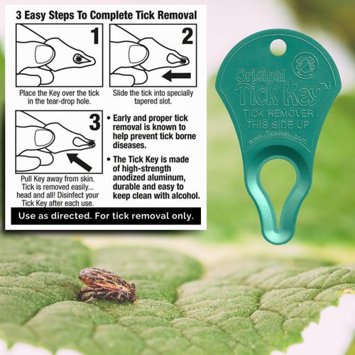 The Original Tick Key - Tick Detaching Device - Portable, Safe and Highly Effective Tick Detaching Tool (Sea Foam)