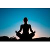 Valerian Root Extract Powder - Organic Relaxation Sleep Support - 100 Capsules