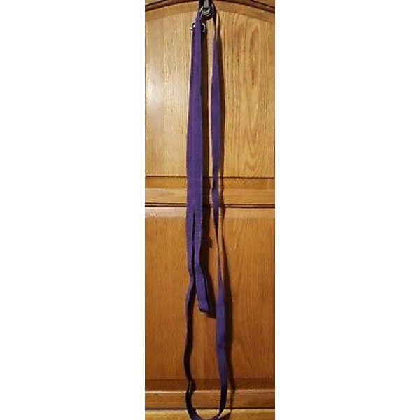 Purple Nylon Dog Leash Pet Training Leads  9' x 5/8" Made in USA