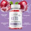 Lean Logic Keto ACV Gummies, Max Strength Official Lean Logic Gummies (3 Pack)