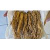 astragalus root - ADAPTOGEN PREMIUM COMPLEX - anti inflammatory supplement 1B