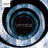 Orchestra Of The Swan: Labyrinths
