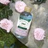 Humphreys Clarify + Soothe Witch Hazel with Rose Organic Toner, Clear, 8 Oz (Pack of 1)
