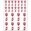 Fanatic Group Indiana Hoosiers Sticker Sheet - 2 Sheets