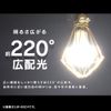 Iris Ohyama LDA18D-G-4 LED Bulb, Wide Light Distribution, 2400 lm