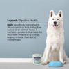 Nixit Stool-Eating Preventative (10.5 oz)