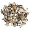 Assorted Craft Shells ~ Seashells ~ 250 Grams to 1 Kilo ~ Small and Medium Sizes (C. 1 kilogram - small shells)