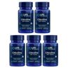 Life Extension Citicoline (CDP-Choline) - 60 Vegetarian Capsule 5 PACK