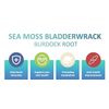 Sea Moss Bladderwrack & Burdock Root 120 Caps ~ Exp 7/27