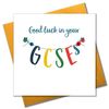 Pom Pom "Good Luck in Your GCSEs" Greeting Card