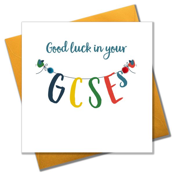 Pom Pom "Good Luck in Your GCSEs" Greeting Card