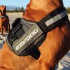 Ezydog Convert Harness, S, Charcoal