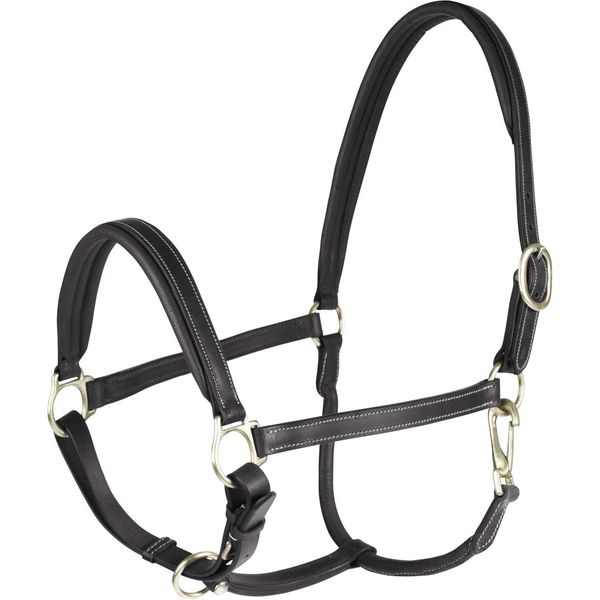 HORZE Largo Genuine Leather Horse Halter | Adjustable Padded Noseband and Crown - Black - Warmblood