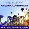 Klorane Smoothing and Soothing Eye Patches with Cornflower and Hyaluronic Acid, 7 ct.