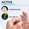 KEYCONCEPTS Acne Patches (120 Count) with Tea Tree Oil, Hydrocolloid Pimple Patches for Face - Zit Patch Acne Dots - Cystic Acne Patches - Pimple Patch with 3 Size Acne Stickers