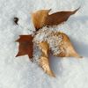 Artificial Plastic Snow Scatter Flakes - Ready to Use - No Prep Needed, 10 Ounce