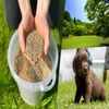 PDL – Pegdev - GrowPro Grass Seed & Fertiliser Blend for Professional Turf Management (10g)