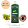 Color Care Shampoo, Hazelnut, 8.5 fl oz (250 ml)
