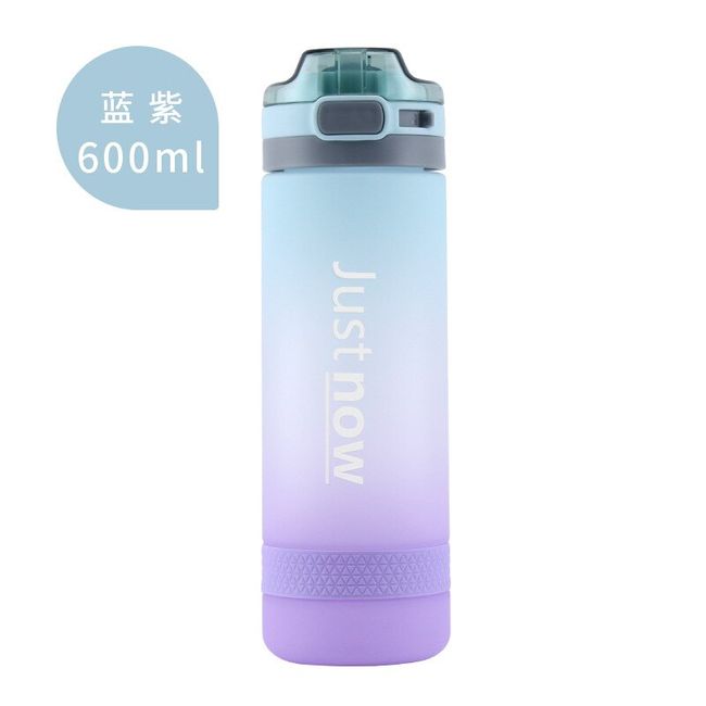 korean plastic water bottle with straw