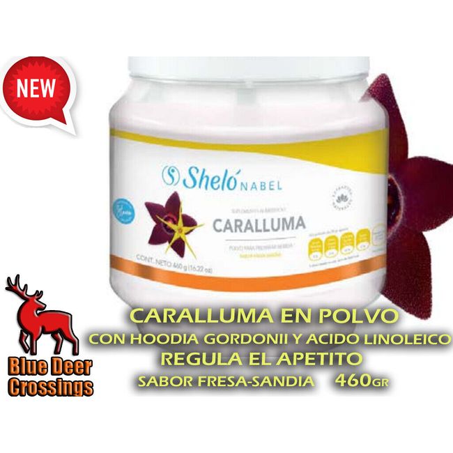 CARALLUMA FIMBRIATA EN POLVO- WEIGHT CONTROL- 460gr SHELO NABEL FREE SHIPP