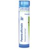 Boiron Paeonia Officinalis 30C for Painful Hemorrhoids - 80 Pellets