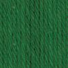 Lily Sugar 'N Cream Yarn-70.9g- Dark Pine