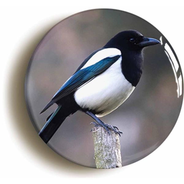 Ozorath Magpie Bird Watching Button Badge (1inch / 25mm diameter)