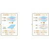 Kao Quickle Wiper 3D Suction Dry Sheet, 20 Sheets x 24