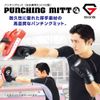 GronG Punching Mitt, Boxing Mitt, Left & Right Set, Curved