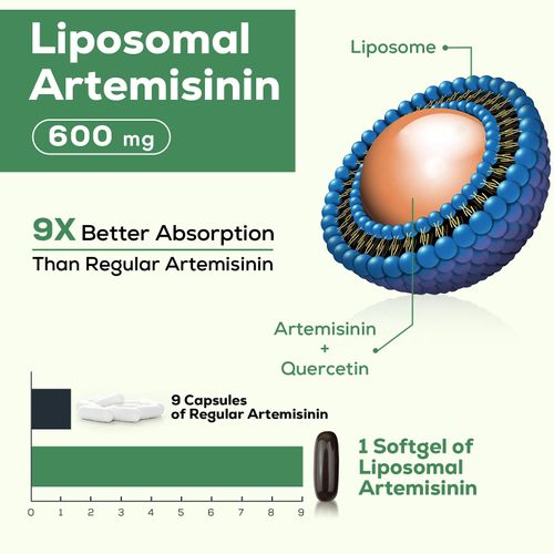 Osasuna 600 mg Liposomal Artemisinin for Maximum Absorption, Sweet Wormwood Extract(Artemisia Annua) with Quercetin Phytosome 200 mg, 60 Softgels - 2 Months Supply