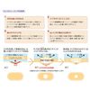 Aso Pharmaceutical Delgard Quick Pad Regular Size 10 Sheets