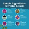 Nootropics Brain Support Supplement - Mental Focus Nootropic Memory Supplemen...