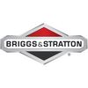 Briggs & Stratton AXLE, V21 | 7021119YP