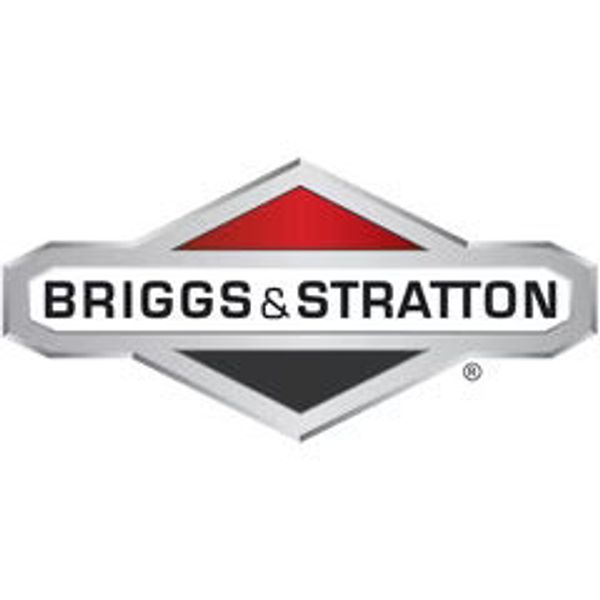 Briggs & Stratton AXLE, V21 | 7021119YP