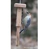 Kettle Moraine Cedar Single Cake Tail Prop Suet Bird Feeder with Hanging Cable