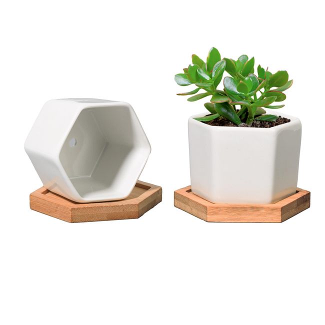 T4U Ceramic Pot, White Flower Pot, Succulent, Cactus Pot with Bamboo Tray