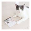 KB Seiren Soji-no-Kamisami, For Pets, 2 Pieces