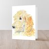 CafePress Cream Labradoodle 1 Folded Greeting Card Matte