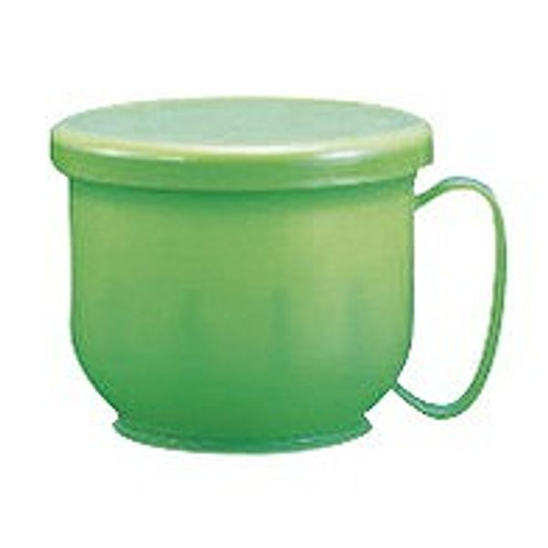 Denture cleaning and storage container, refreshing green