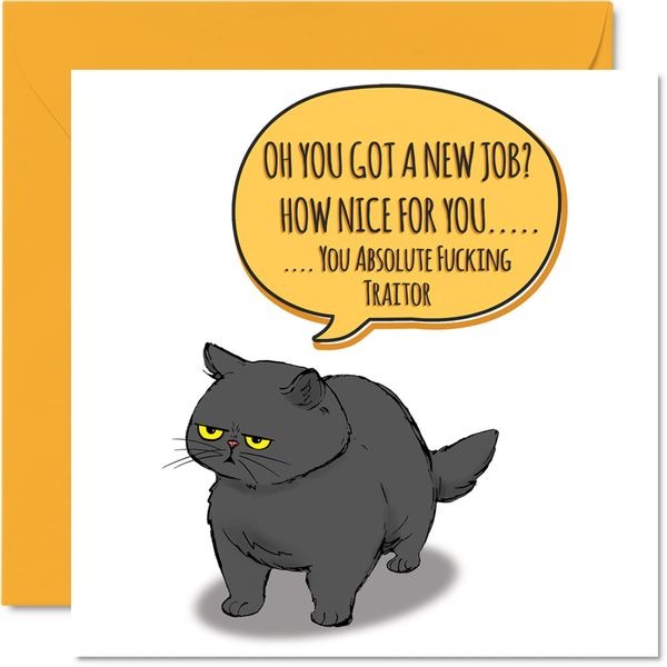 Funny Leaving Card for Colleagues Women Men - Sassy Cat - Sorry Your Leaving Good Luck In Your New Job Card, 145mm Banter Greeting Cards, Joke Rude Gifts Congratulations Card