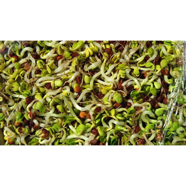 BULK * 2000  *SPROUTING MIX * HEALTH BLEND * POWERHOUSE OF NUTRITION