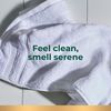 Irish Spring Deodorante 3 Pezzi