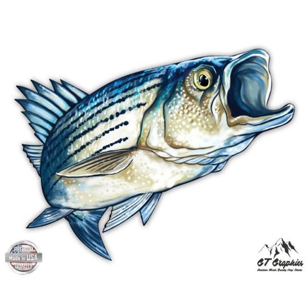 GT Graphics Striped Bass - 16" - Large Size Vinyl Sticker - Outdoor Indoor Decor